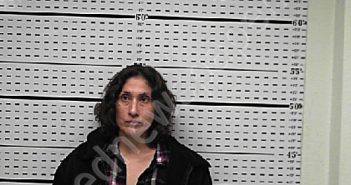 CARDENAS, MARICELA ANN | 2025-01-11 07:00:01 Jim Wells County, Texas Booking