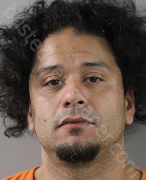 PALACIOS, KEONI ELE #, Polk County, Florida - 2025-01-11