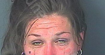 FREERKSEN, SARAH MAE | 2025-01-12 23:57:00 Hernando County, Florida Booking