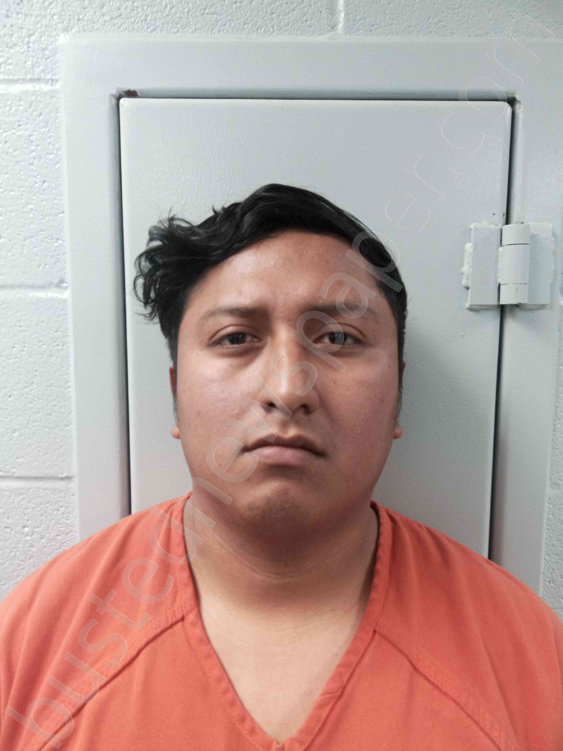 VILLARREAL-PEREZ, CARLOS #, Logan County, Kentucky - 2025-01-12