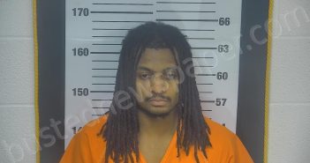 SAVAGE, ROBERT OTHA | 2025-01-12 23:03:00 Ottawa County, Ohio Booking