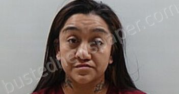 BADILLO ARACELI | 2025-01-13 Cameron County, Texas Booking