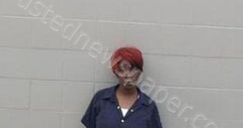 TANAKA DIONE WOMACK | 2025-01-13 14:22:00 Jefferson County, Arkansas Booking