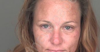 VILLANUEVA, CANDICE RUTH | 2025-01-13 10:59:35 Highlands County, Florida Booking