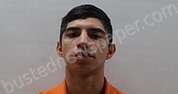 DE LA CRUZ ORLANDO ISAI | 2025-01-13 Cameron County, Texas Booking
