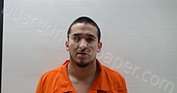 RODRIGUEZ LEONEL | 2025-01-13 Cameron County, Texas Booking