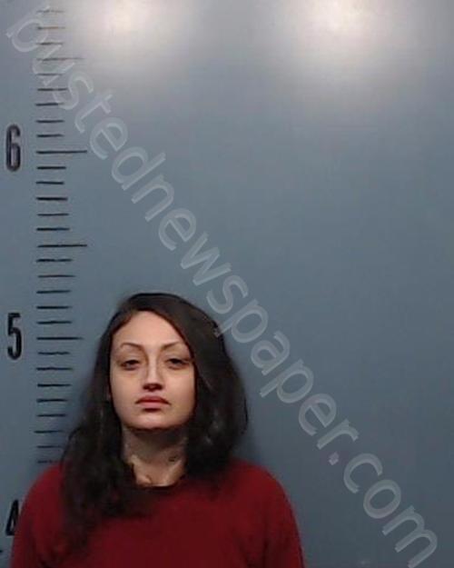 GAITON SANTANA, PAULINE MONIQUE #, Taylor County, Texas - 2025-01-14