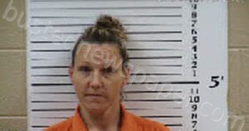 STILES, JILLIAN ASHLEY SLONE | 2025-01-14 09:20:00 Cherokee County, North Carolina Booking