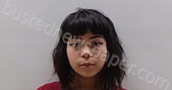 VIZCARRA XITLALI AIDA | 2025-01-14 Cameron County, Texas Booking