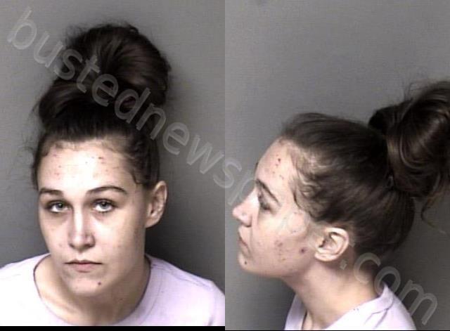 HANEY, ALEXIS LEE #, Gaston County, North Carolina - 2025-01-15 16:03:00