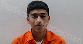 GONZALEZ OSIEL | 2025-01-15 Cameron County, Texas Booking