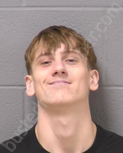 ZEHME, KYLE A #, Will County, Illinois - 2025-01-15 11:39:00