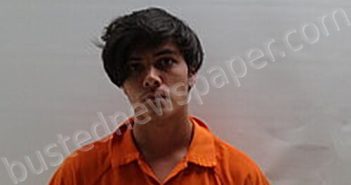 GREGORY ISAK RON | 2025-01-15 Cameron County, Texas Booking