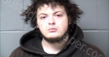 HARTWELL, NATHAN A | 2025-01-15 Woodford County, Illinois Booking