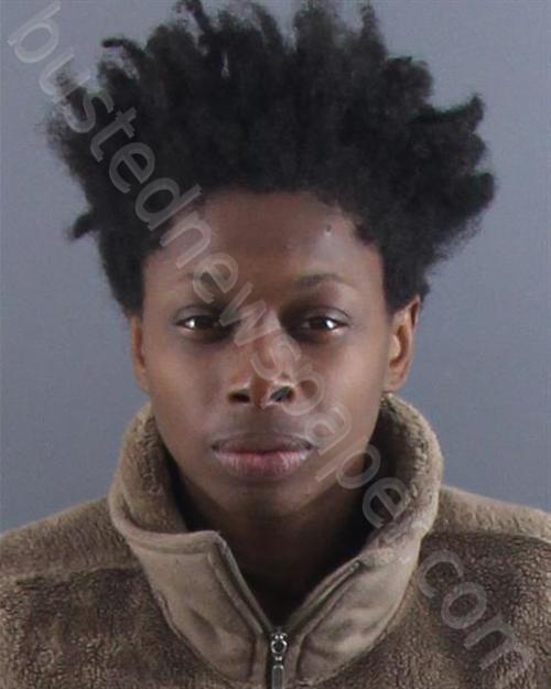 Claybonbrookins, Lakenya J 20250115 Peoria County, Illinois Booking