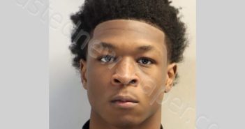 BARNES, LAREIKAE DEONTAE | 2025-01-15 15:50:25 Leon County, Florida Booking