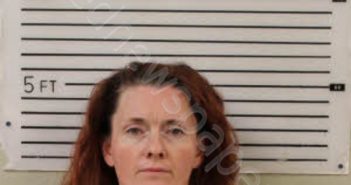 MIXON, CHRISTINE ELAINE BELL | 2025-01-15 13:27:00 Madison County, North Carolina Booking