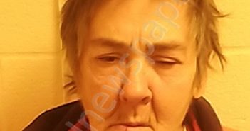 SHUROCK, DOREEN DENISE | 2025-01-15 Chenango County, New York Booking
