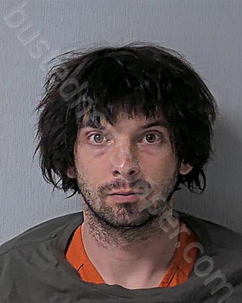 STEVENS, SHAWN FLOYD #, Logan County, Ohio - 2025-01-15 14:51:21