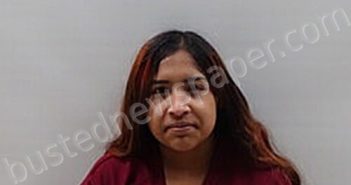 GONZALEZ KAREN D | 2025-01-16 Cameron County, Texas Booking