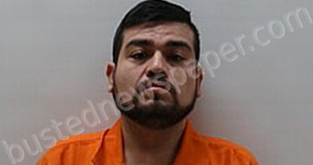 RAMIREZ ESCOBEDO PEDRO | 2025-01-17 Cameron County, Texas Booking