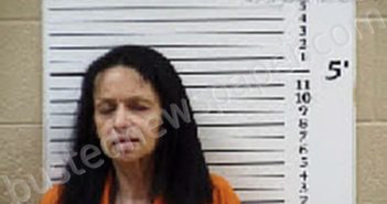 DOCKERY, JENNIFER CRAIG | 2025-01-17 19:02:00 Cherokee County, North Carolina Booking