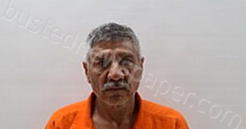 <B>GONZALEZ</B> GARCIA <B>JORGE</B> <B>LUIS</B> #, Cameron County, Texas - 2025-01-17