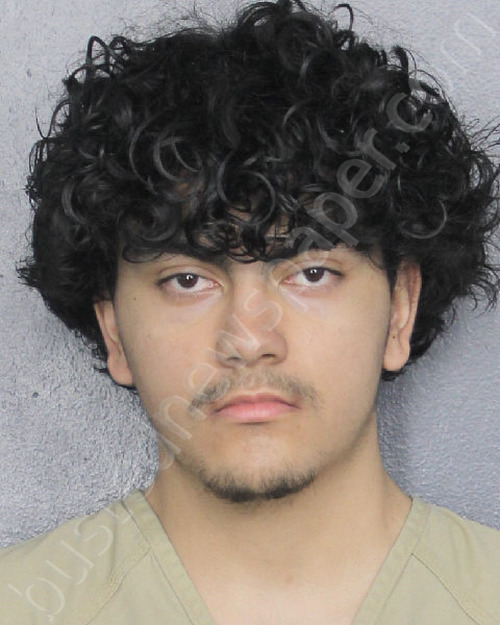 GAVIRIA, NICOLAS #, Broward County, Florida - 2025-01-17