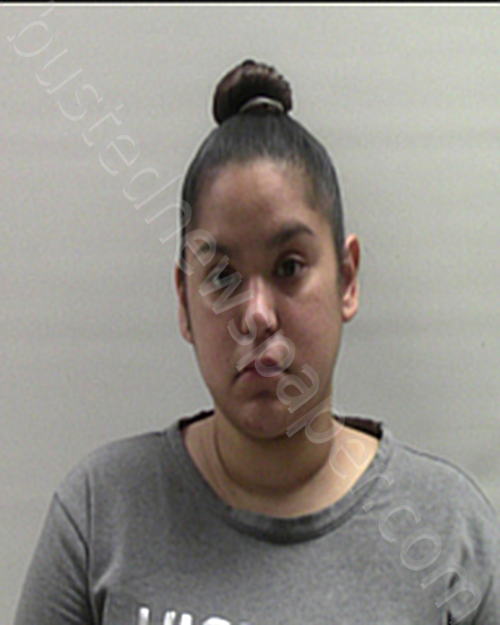 CASTILLO ARLENE YVETTE #, Cameron County, Texas - 2025-01-17