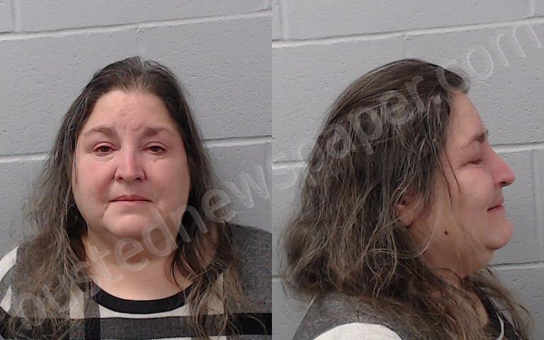 DELGADILLO, MICHELLE DENISE #, Hays County, Texas - 2025-01-18