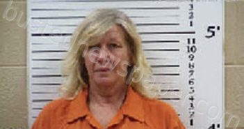 BEEBE, LISA MARIE | 2025-01-18 00:30:00 Cherokee County, North Carolina Booking