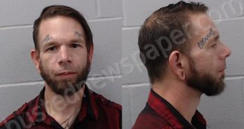 <B>REECE</B>, <B>WILLIAM</B> STEPHEN #, Hays County, Texas - 2025-01-18