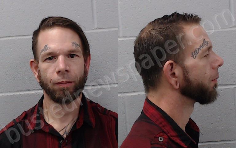 REECE, WILLIAM STEPHEN #, Hays County, Texas - 2025-01-18