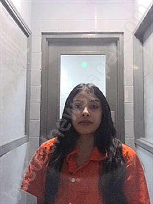 ACOSTA, NISA #, Johnson County, Arkansas - 2025-01-18 00:59:00