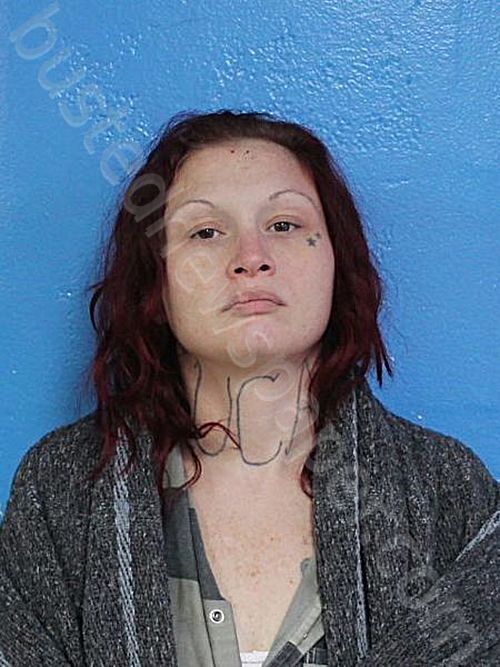 HUMPHREY, AMBER MARIE #, Sullivan County, Tennessee - 2025-01-19 12:52:00