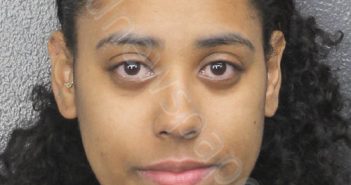 <B>HERNANDEZ</B>, AMY <B>LISSETTE</B> #, Broward County, Florida - 2025-01-19