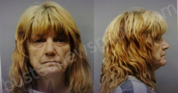 HILLNER, DANETTE LEIANNE | 2025-01-19 Wise County, Texas Booking