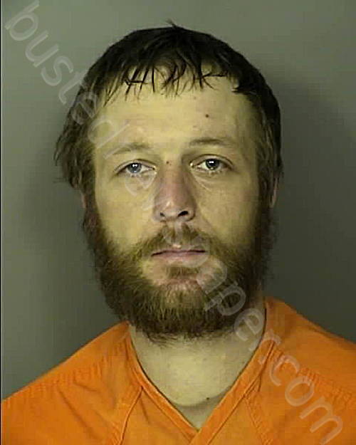 PHILLIPS, JOSHUA DANIEL #, Horry County, South Carolina - 2025-01-19 21:00:00