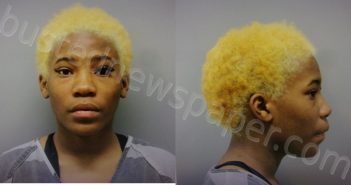 WILLIAMS, IYANA | 2025-01-19 Wise County, Texas Booking