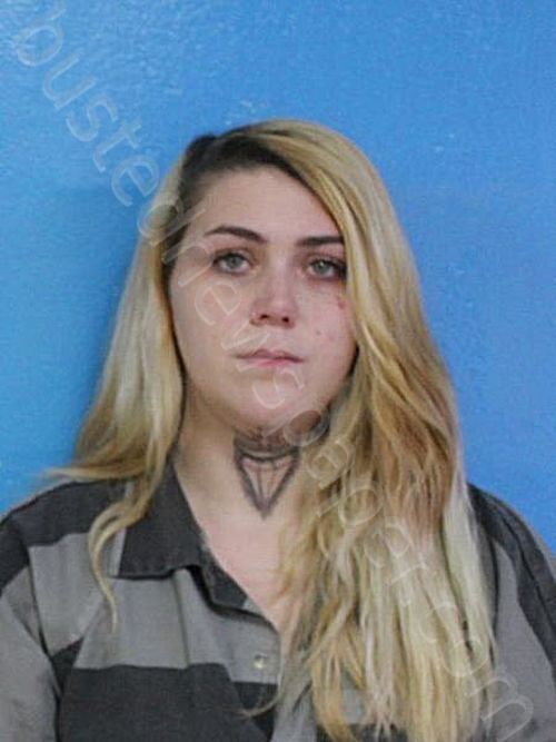 ARNOLD, HANNAH MARIE #, Sullivan County, Tennessee - 2025-01-19 15:53:36