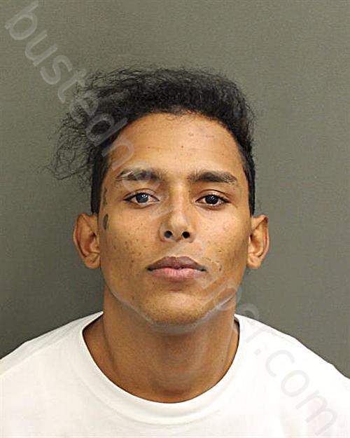 PEREZORTIZ, GLEIVER JOSE #, Orange County, Florida - 2025-01-19 01:09:00