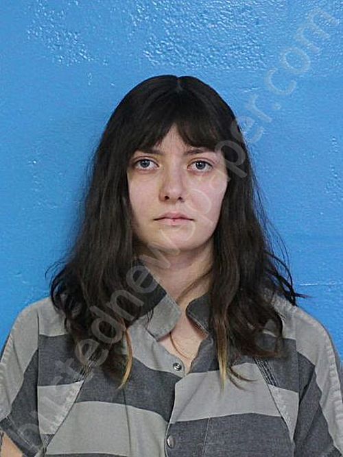 PAPPENFUS, GRETA ROSE #, Sullivan County, Tennessee - 2025-01-19 23:17:00