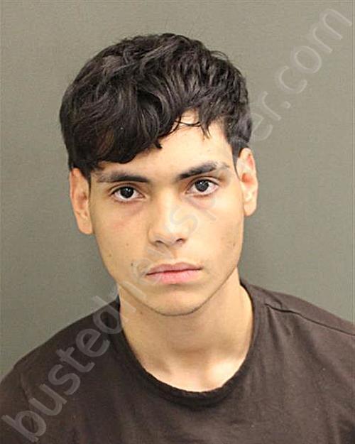 QUINTEROFREITE, ANGELO PAOLO #, Orange County, Florida - 2025-01-19 01:12:00
