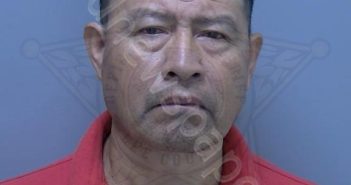 AVILES, INOCENCIO ZAGAL | 2025-01-19 12:01:00 Lee County, Florida Booking
