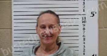 RAMSEY, HEATHER NICOLE | 2025-01-20 18:14:00 Cherokee County, North Carolina Booking