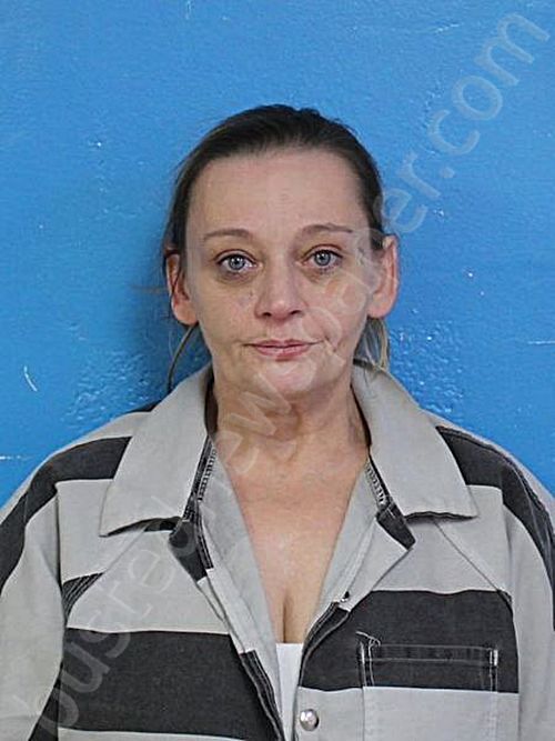 STALLARD, JESSICA HOPE #, Sullivan County, Tennessee - 2025-01-21 17:03:00