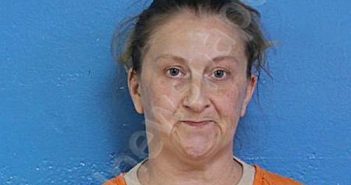 MOSKAL, HEATHER LEANN | 2025-01-22 06:24:00 Sullivan County, Tennessee Booking