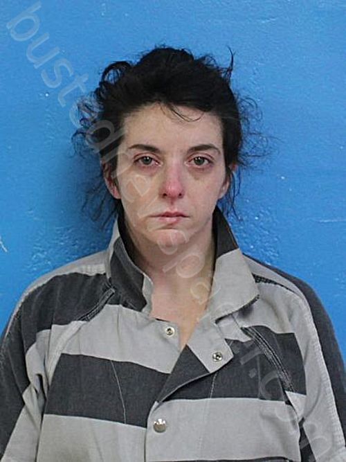 SHELTON, SHARON NICOLE #, Sullivan County, Tennessee - 2025-01-22 17:42:00