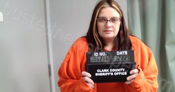 MC GEE, ASHLEY LYNN | 2025-01-22 02:23:00 Clark County, Missouri Booking