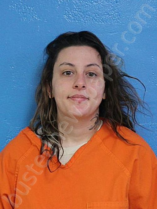SMITH, CHANDLER #, Sullivan County, Tennessee - 2025-01-22 06:27:00